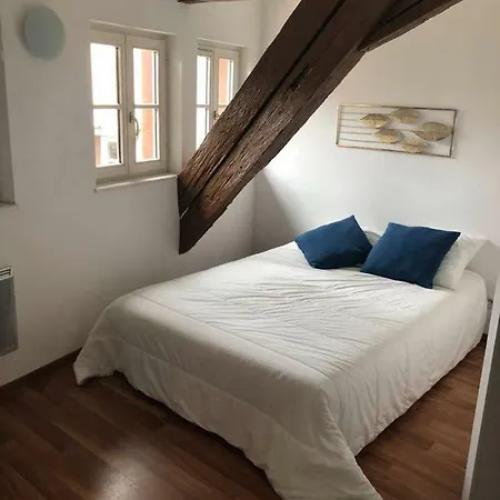 Apartament Avec Balcon Centre Strasburg