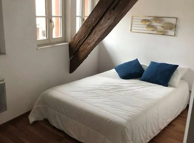 Daire Avec Balcon Centre Strazburg